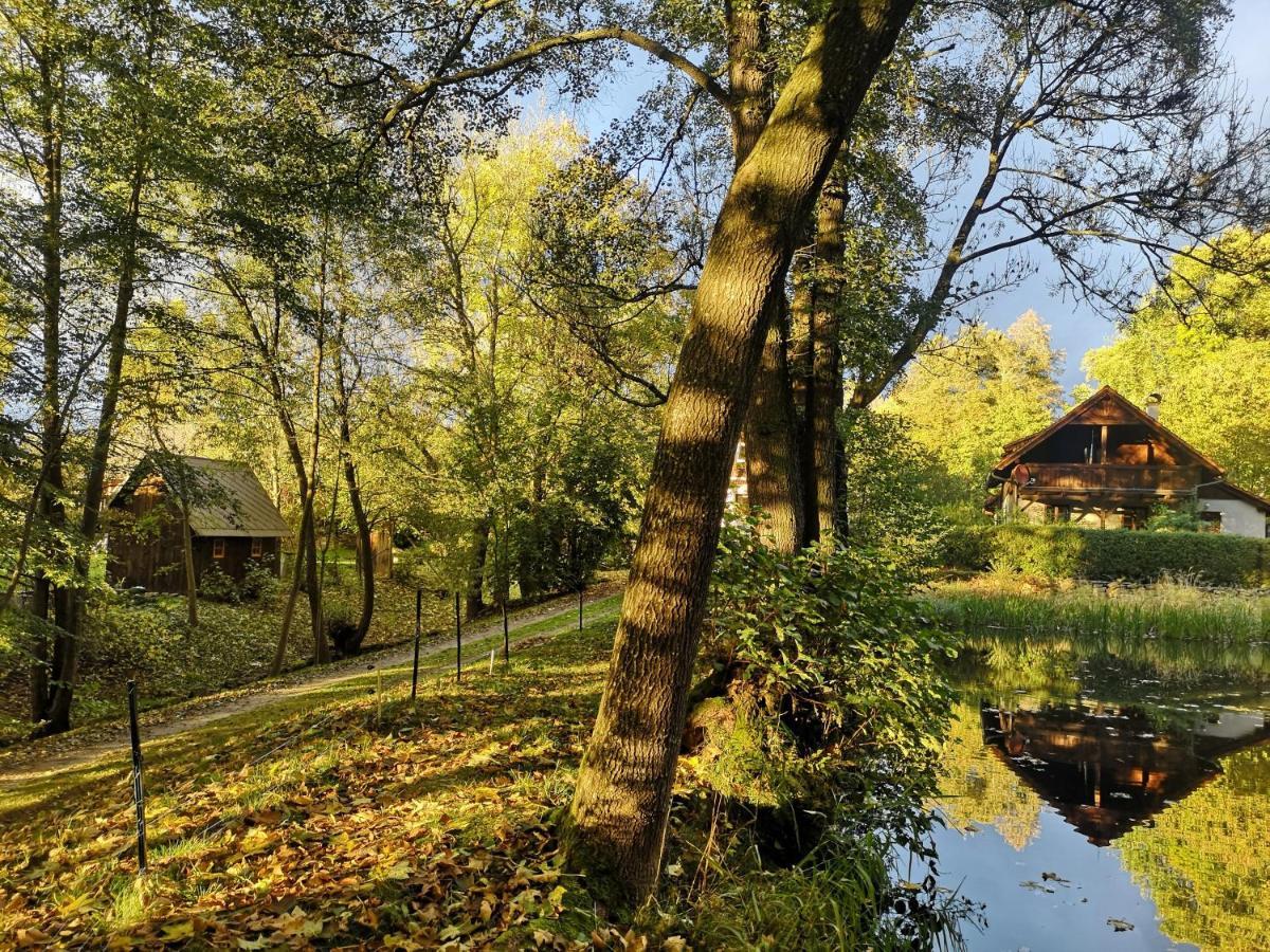 Apartmany Cerveny Dvur Chvalšiny 외부 사진