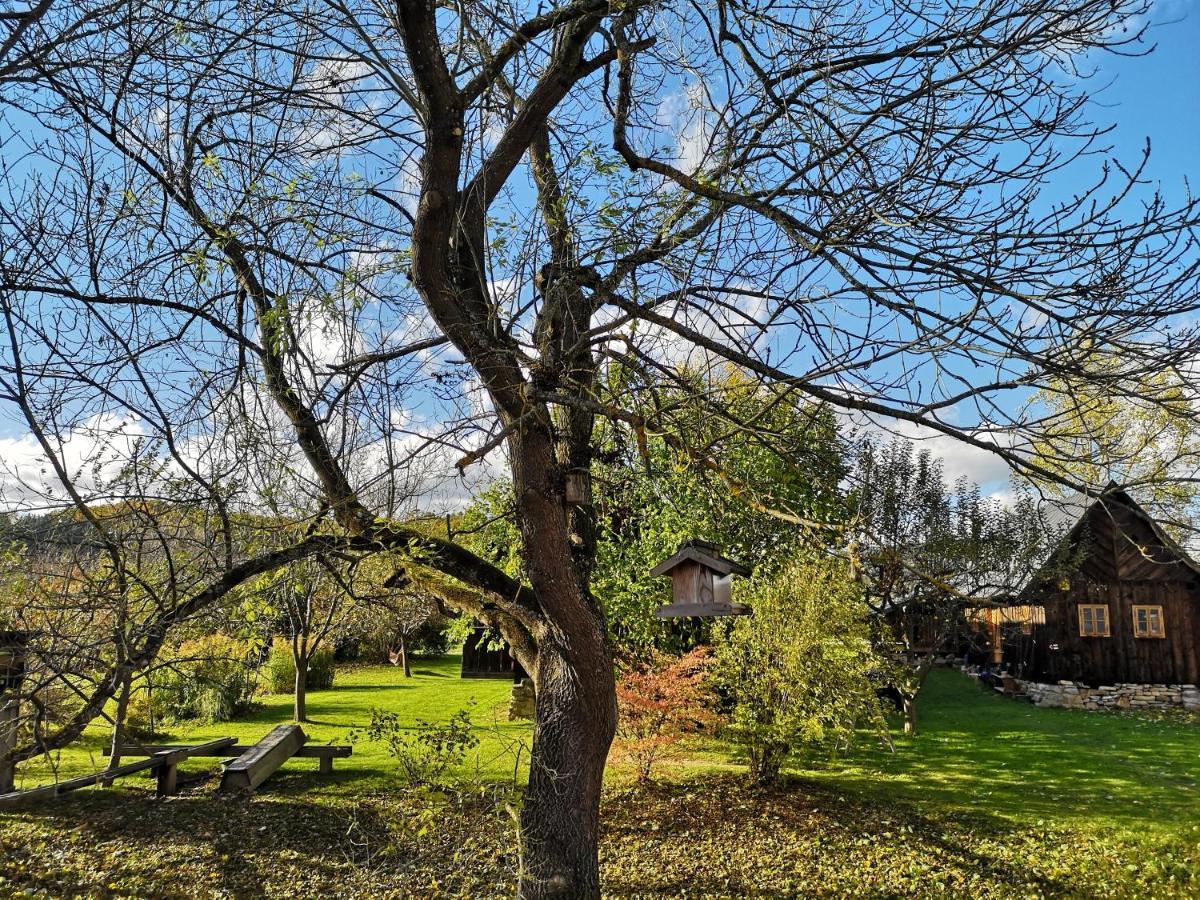 Apartmany Cerveny Dvur Chvalšiny 외부 사진