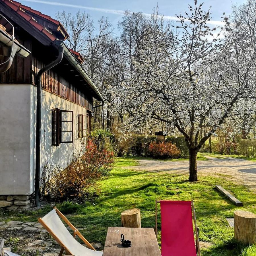 Apartmany Cerveny Dvur Chvalšiny 외부 사진